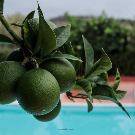 Il Casale Il Sole E La Margherita Campofelice Di Roccella Εξωτερικό φωτογραφία