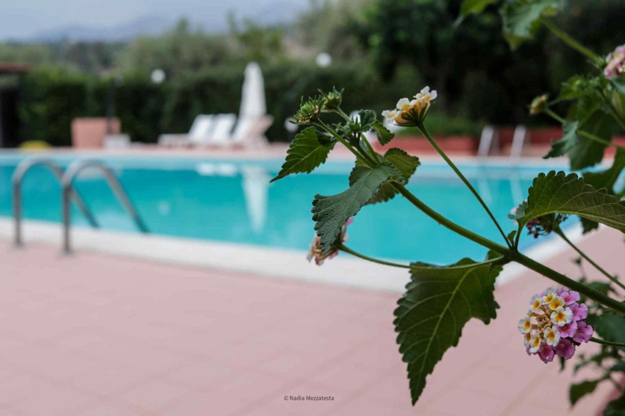 Il Casale Il Sole E La Margherita Campofelice Di Roccella Εξωτερικό φωτογραφία