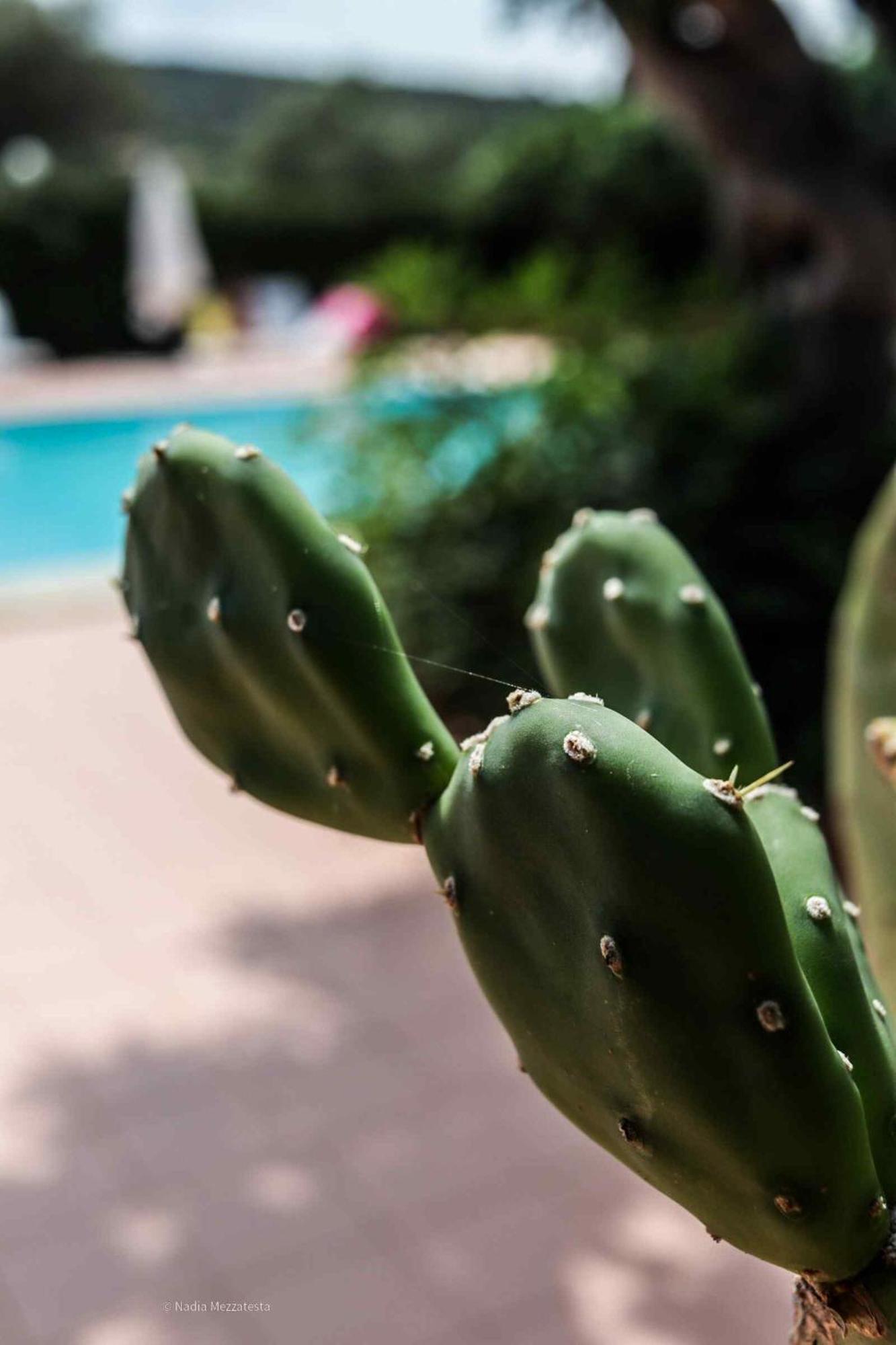 Il Casale Il Sole E La Margherita Campofelice Di Roccella Εξωτερικό φωτογραφία