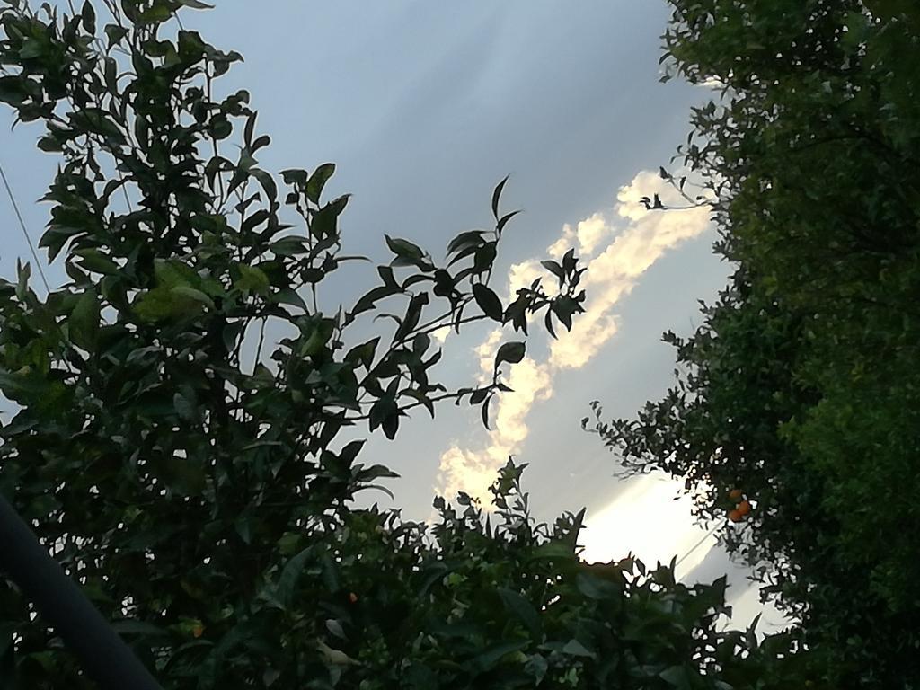 Il Casale Il Sole E La Margherita Campofelice Di Roccella Εξωτερικό φωτογραφία