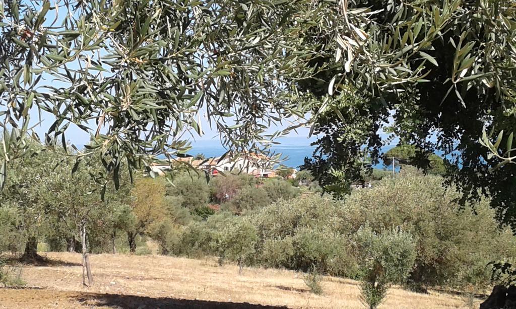 Il Casale Il Sole E La Margherita Campofelice Di Roccella Εξωτερικό φωτογραφία